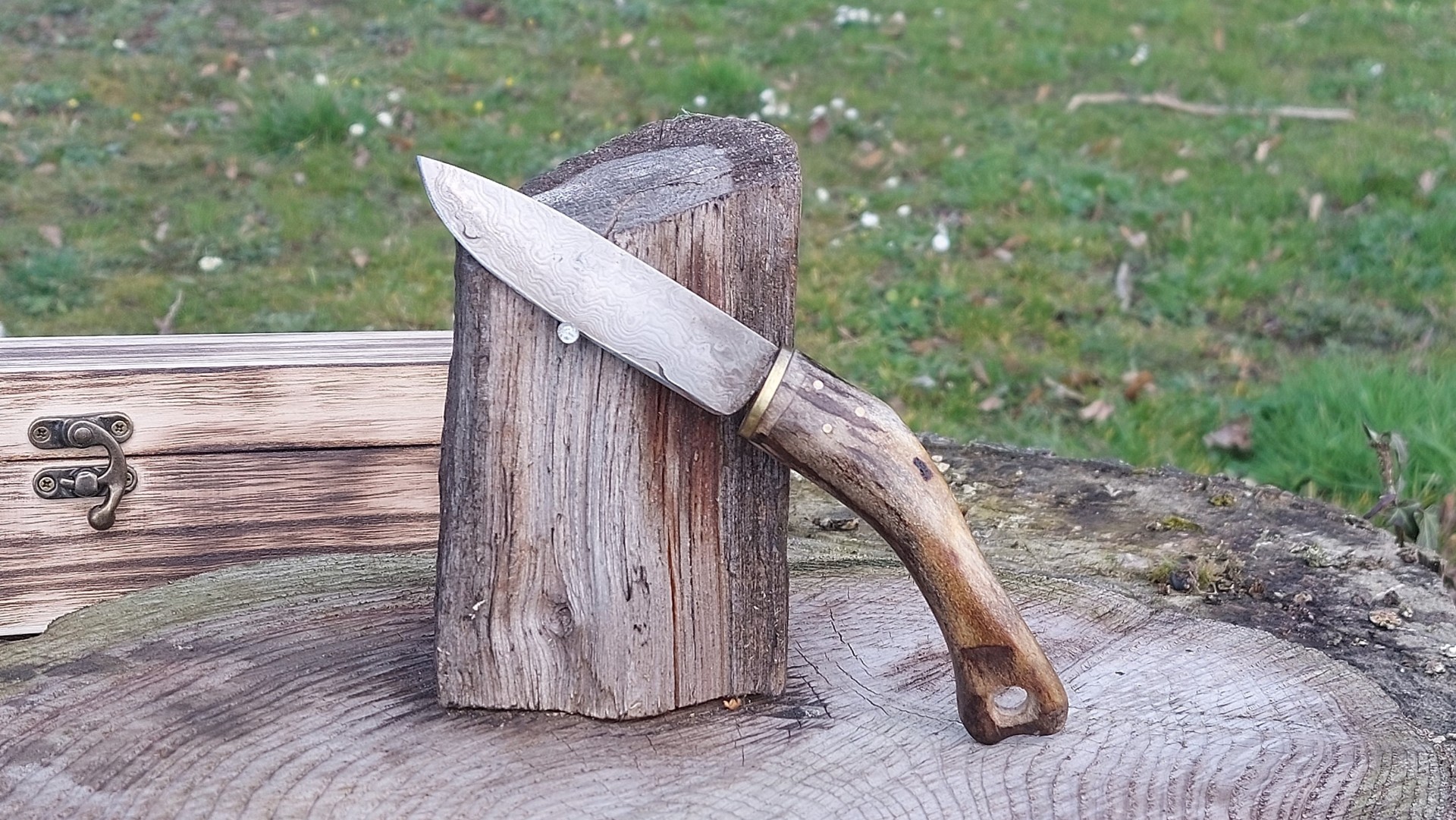 Couteau Droit Damas