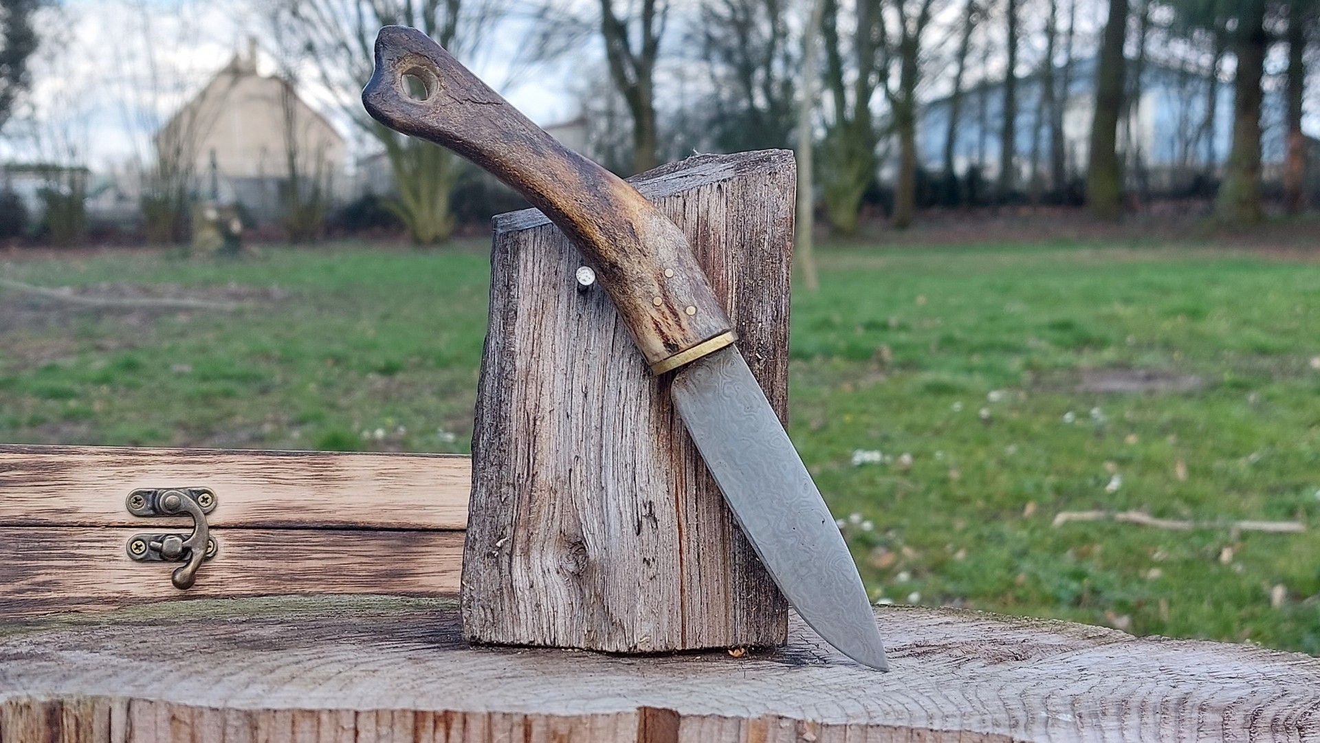 Couteau Droit Damas