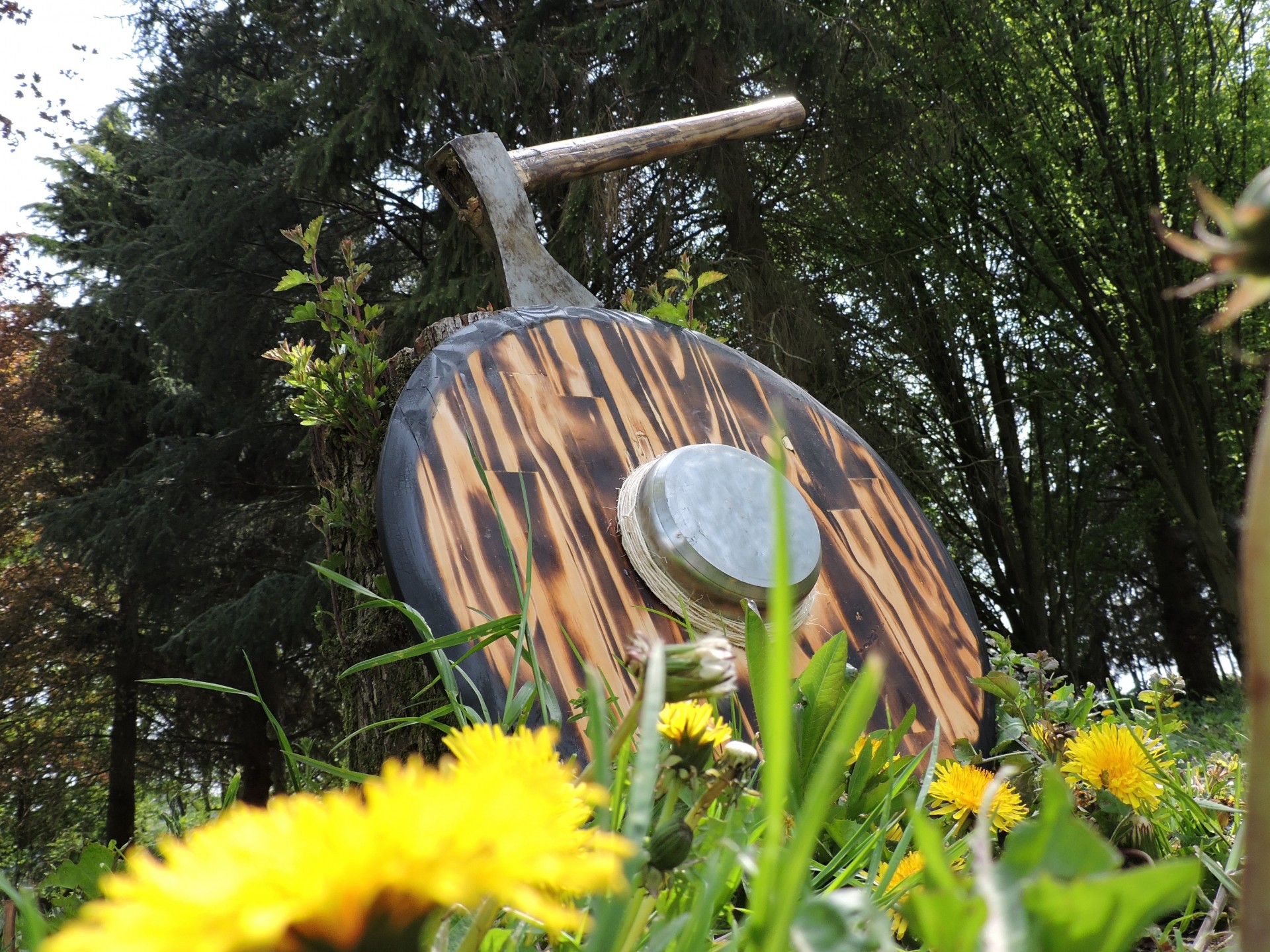 Bouclier Viking 